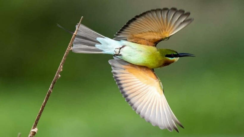 Kalametiya Sanctuary: Bird Watching by Private Boat Tour - Who Should Consider This Tour?