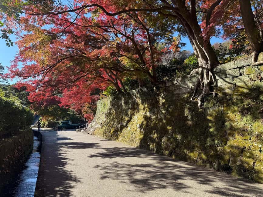 Kamakura: Customized Half-Day Tour with Professional Guide - Why This Tour Works