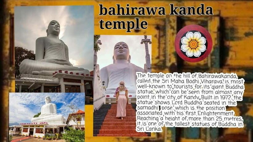 Kandy: City Tour with Temple of the Tooth & Tea Garden - Who Will Love This Tour?