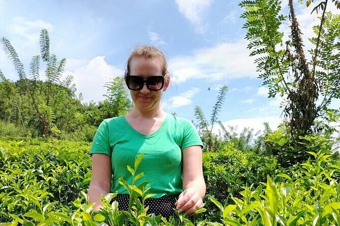 Kandy to Nuwara Eliya Private Day Tour: Tea Factory& Gregory Lake - Ramboda Waterfall: Nature’s Power and Beauty