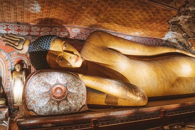 Kandy to Sigiriya and Dambulla Safari Day Tour - Transport and Logistics