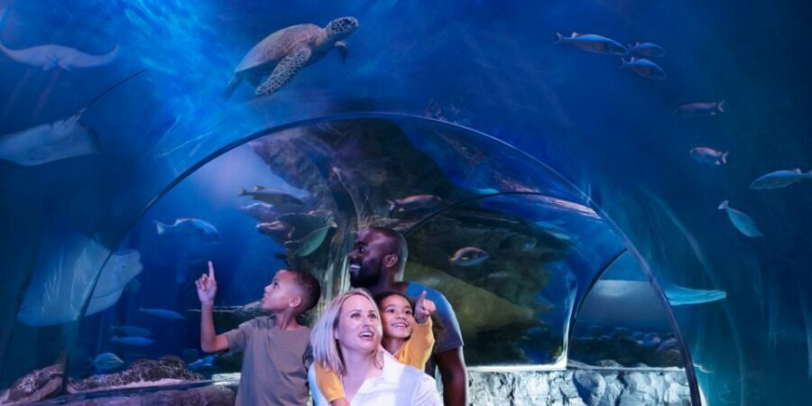 Kansas City: SEA LIFE Kansas City Aquarium General Admission - Who Will Love SEA LIFE Kansas City?