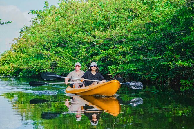 Kayaking Adventure on serene waters through mangroves, Akurala - What to Expect: Tranquil Waters and Wild Encounters