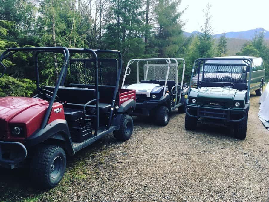 Ketchikan: Tongass Forest Alaska Bigfoot ATV Ride and Hike - Detailed Itinerary and Experience Breakdown