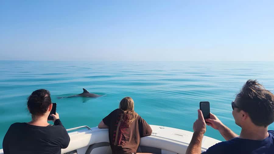 Key West Dolphin & Snorkel Tour - Small Group - Snorkeling Adventure