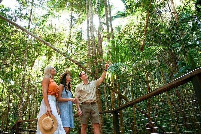 K'Gari (Fraser Island) 3-Day Getaway from Hervey Bay + Illumina - The Practicalities: Transport, Food, and Comfort