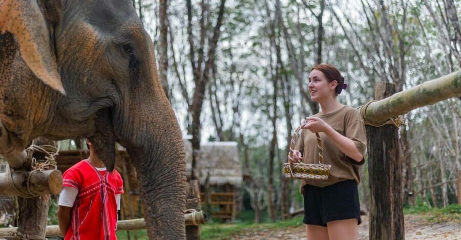 Khao Laks Best: Elephant Sanctuary,Rubber Tapping&Waterfall - What Sets This Tour Apart?