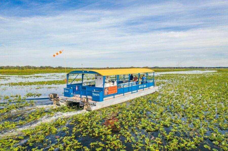 Kissimmee: 1 Hour Florida Everglades Pontoon Boat Tour - The Guide’s Role: Making the Experience Special