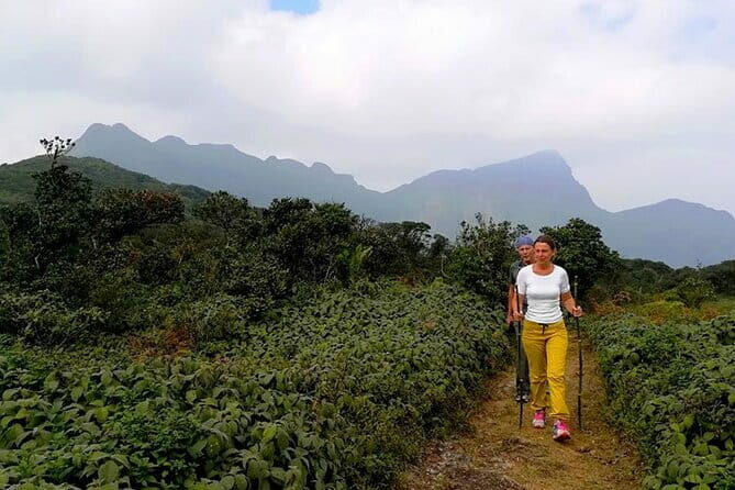 Knuckles Mountain Range Hiking and Trekking Day Tour From Kandy Hotels - The Experience: Authenticity, Scenery, and Practicalities