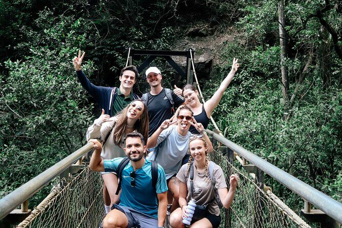 Koalas, 6 Springbrook Waterfalls and Natural Bridge Day Tour - Final Thoughts: Who Is This Tour Best For?