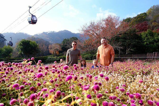 Kobe Explore Top Highlights by Private Walking Tour - The Value of a Private, Customized Experience
