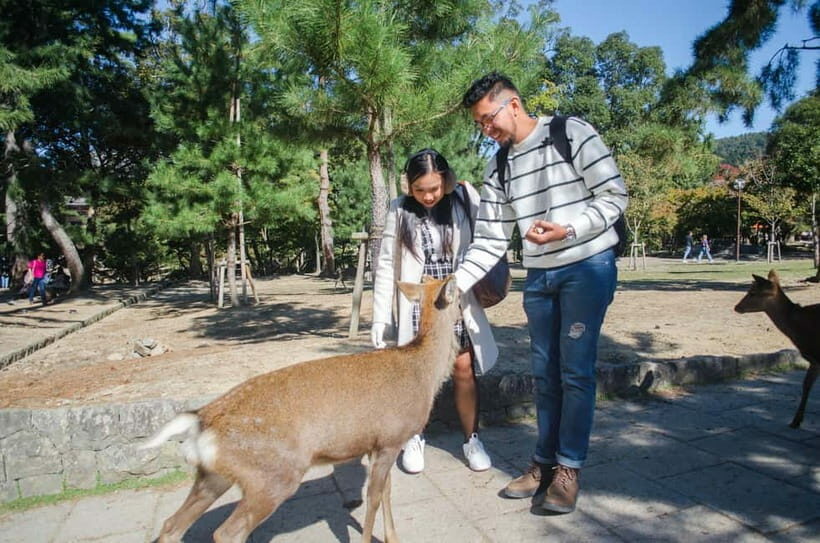 Kobe: Private Walking Shore Excursion- Kyoto/Osaka/Nara/Kobe - Who Will Benefit Most?