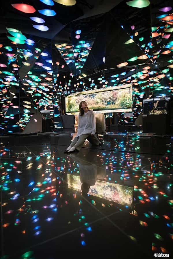 Kobe: Urban Aquarium AQUARIUM×ART átoa Entry Ticket - Who Should Consider Visiting?