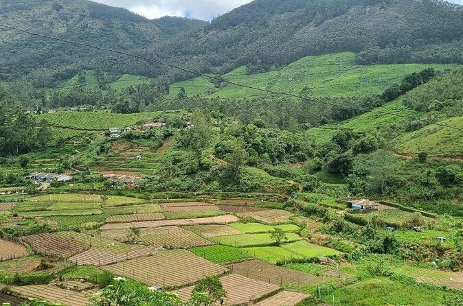 Kochi to Munnar Private Full Day Guided Tour With Hotel Pickup - Why This Tour Works