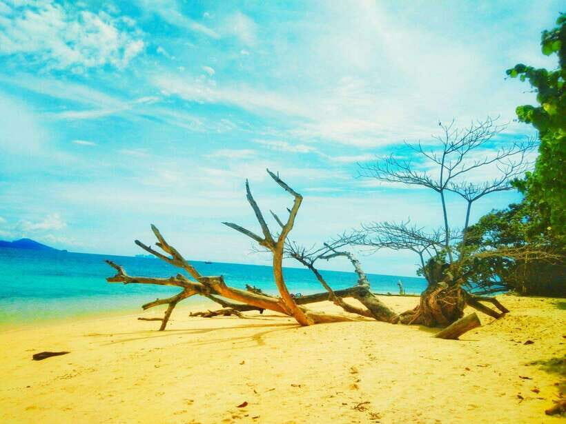 Koh Lanta: 4 Islands and Emerald Cave Snorkeling Trip - Who Will Enjoy This Tour?