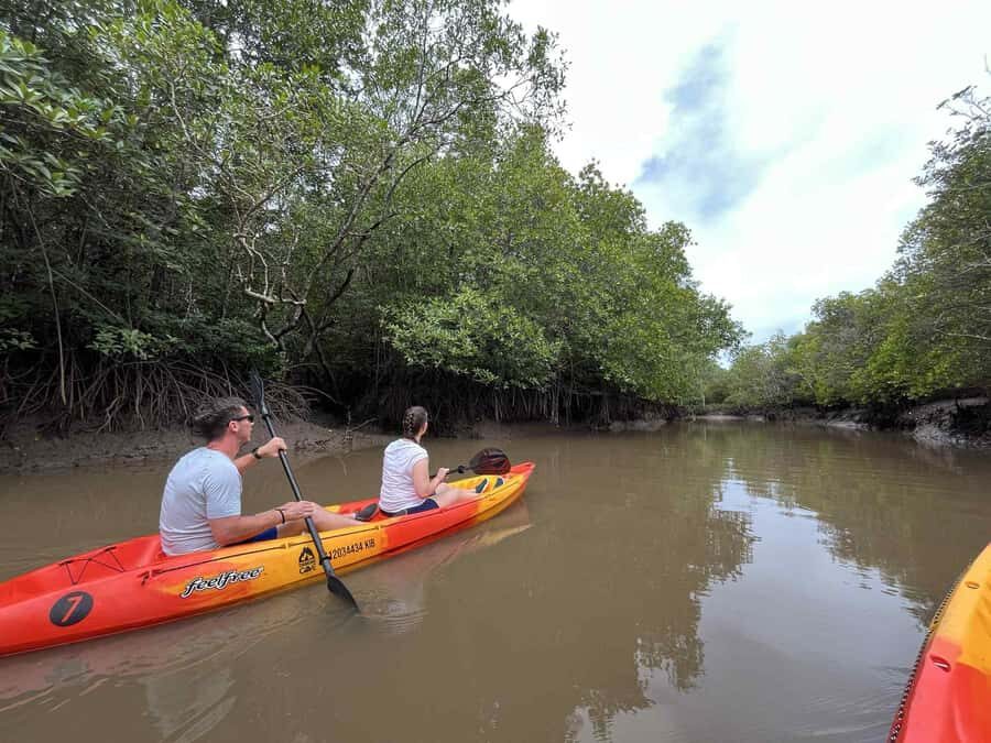Koh Lanta: Mangrove Kayaking Tour with Hotel Pickup & Lunch - What to Expect: The Day in Detail