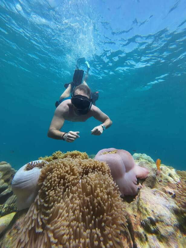 Koh Lipe: Half-Day Snorkeling (Morning/Afternoon/Sunset) - Authentic Marine Encounters & Stunning Views