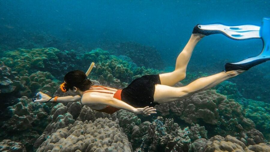 Koh Lipe: Longtail Boat Snorkeling Trip Program A - Practical Tips and Considerations