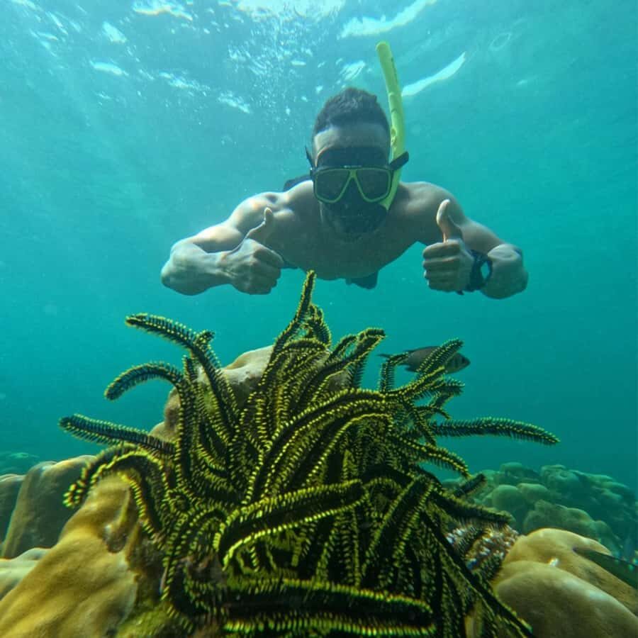 Koh Lipe: Private Snorkeling & Islands Hopping with Lunch - Why This Tour Offers Good Value