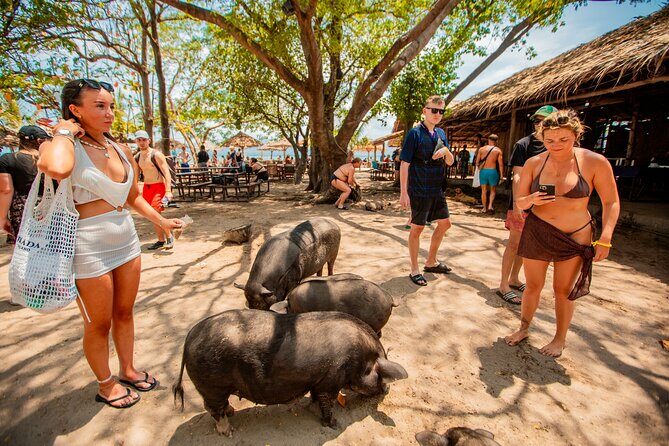 Koh Madsum and Koh Tan Snorkeling Trip By Speedboat From Koh Samui - What Travelers Say: Authentic Insights
