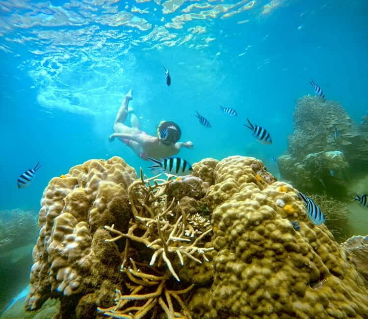 Koh Tao: Snorkeling Trip to Nang Yuan Island & Hidden Bays - FAQ About the Koh Tao Snorkeling Trip