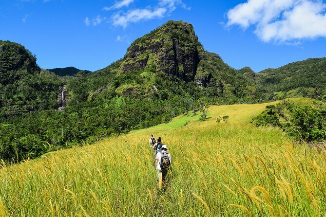 Koroyanitu National Heritage Park Fiji - Hike - Waterfall - What’s the Verdict on the Waterfalls and Trails?