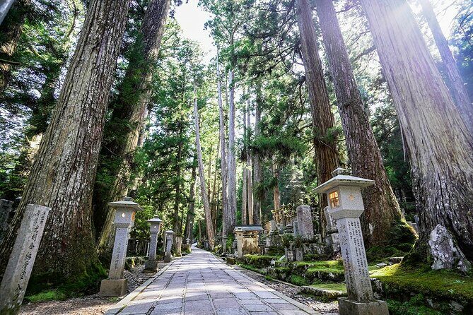 Koyasan Day Trip by Private Car from Osaka - The Sum Up