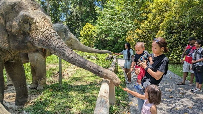 Kuala Lumpur: Batu Caves & Kuala Gandah Elephant Sanctuary - Who Will Love This Tour?