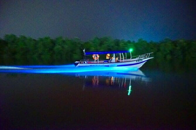 Kuala Selangor Fireflies and Blue Tears Tour with Dinner (SIC) - Final Thoughts: Who Will Love This Tour?