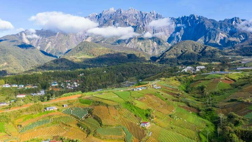 Kundasang: Day Tour with Desa Dairy Farm and Alpaca Club - A Deep Dive into the Itinerary
