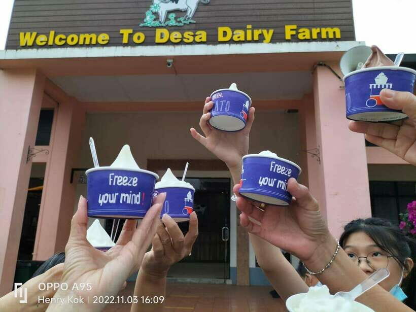 Kundasang : Poring Hot Spring + Desa & Meal Shared Tour - Is This Tour Worth It?