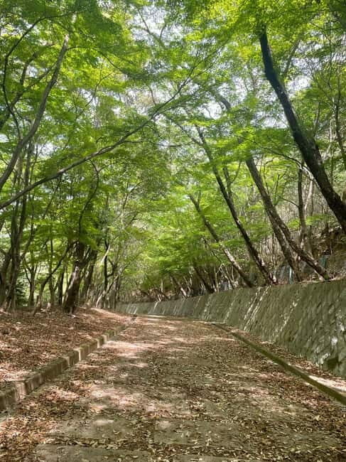 Kyoto: Arashiyama Bamboo Forest Hiking Tour - Final Words