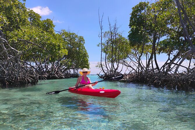La Parguera Boat Charter with Captain: Kayak & Snorkel - Who Will Love This Tour?