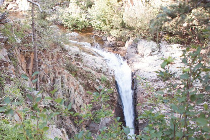 La Plata Mountains - Half Day Tour - Why This Tour Fits Different Travelers