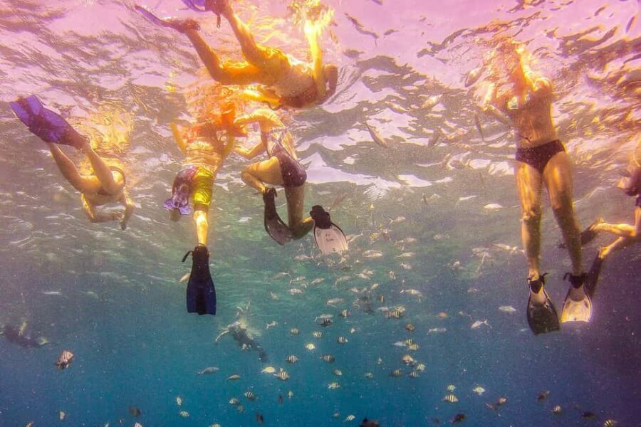 La Romana: Catalina Island Full-Day Snorkeling Tour - The Value of This Tour