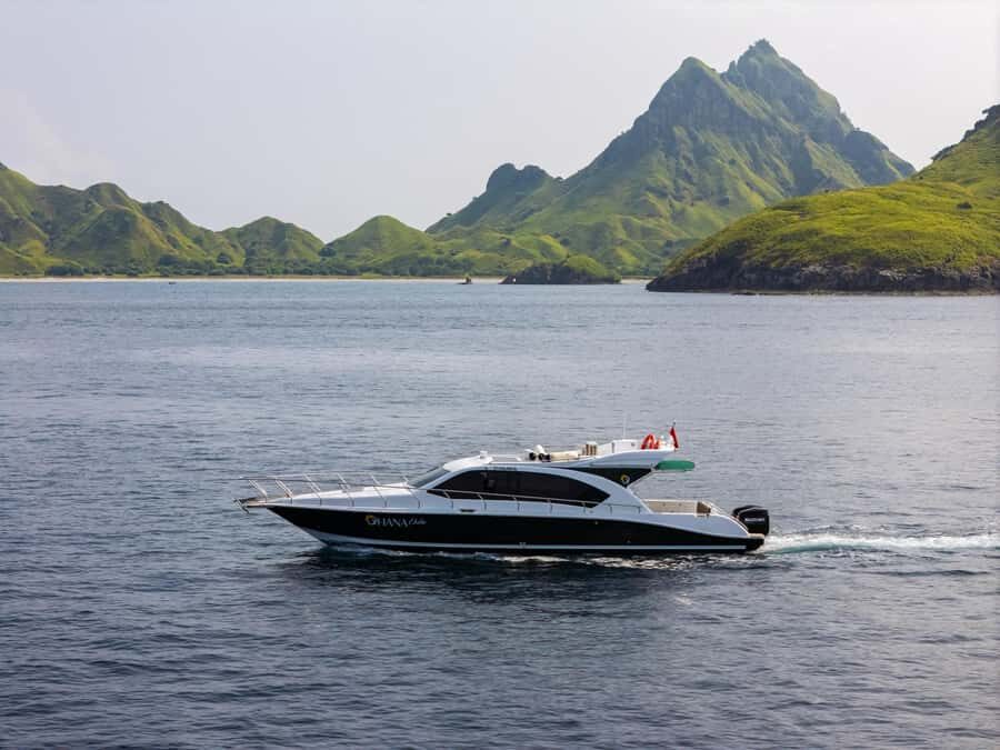 Labuan Bajo: Komodo National Park Full-Day Speedboat Tour - The Experience: What Travelers Can Expect