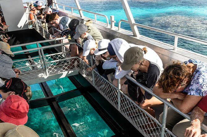 Lady Musgrave Day Trip from Bundaberg Including Snorkeling - The Value and Practicalities