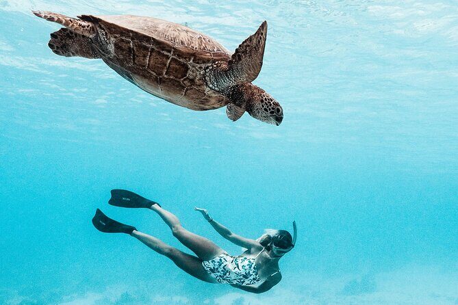 Lagoon and Wildlife Discovery on a Private Boat in Moorea - Navigating the Price and Overall Value