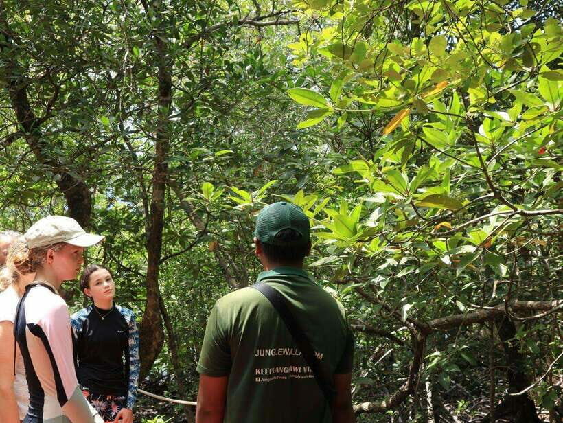 Langkawi: Kayaking Adventure and Swimming - Authentic Insights from Past Participants
