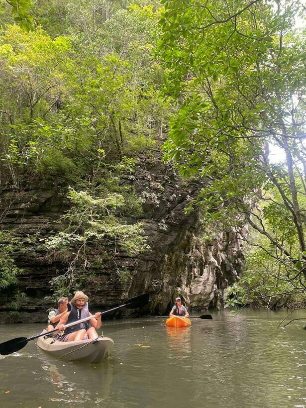 Langkawi: Kilim Karst Mangrove Kayak Adventure - Authentic Experiences and Honest Insights