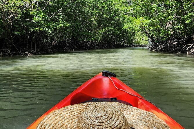 Langkawi Mangrove Kayak Tour by Sham - The Worth of the Price