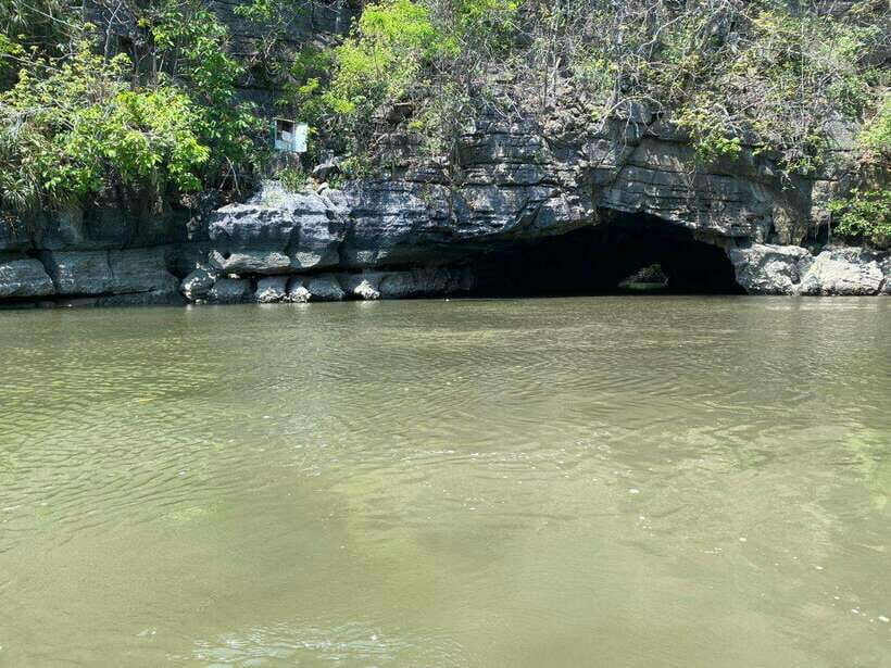 Langkawi Mangrove Monkey Package - A Detailed Look at the Langkawi Mangrove Monkey Package