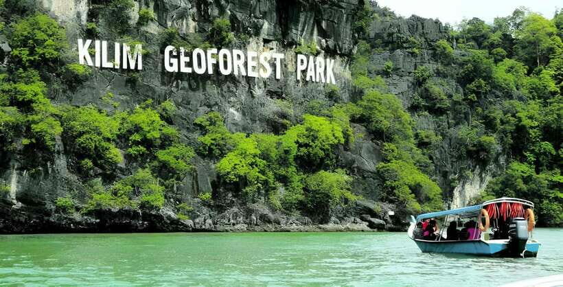 Langkawi: Mangrove Tour with Kilim Geoforest Park & Bat Cave - An Introduction to the Langkawi Mangrove Experience