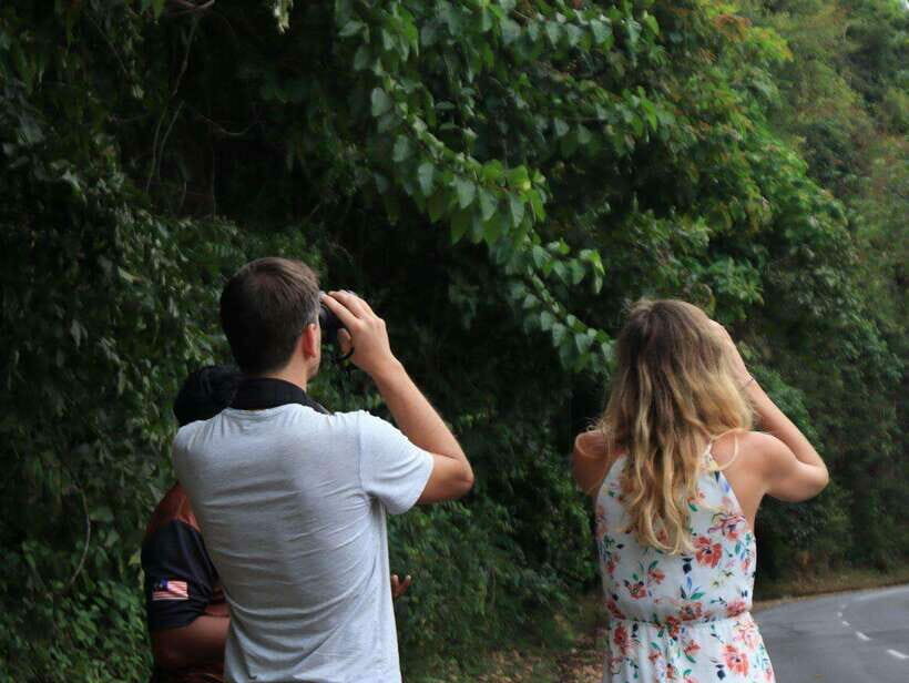 Langkawi: Nighttime Rainforest Tour with Nature Guide - Why Choose This Tour?
