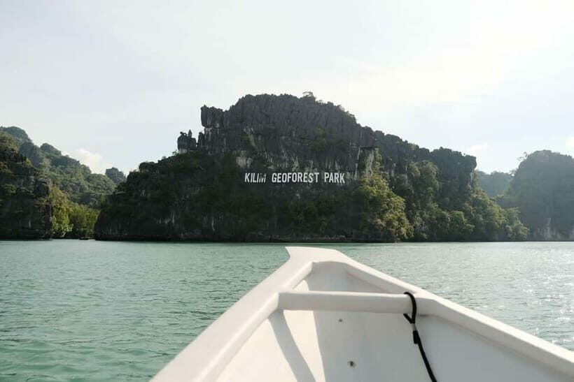 Langkawi: Private 2-Hour Mangrove Tour with Hotel Transfer - What You’ll Actually Experience