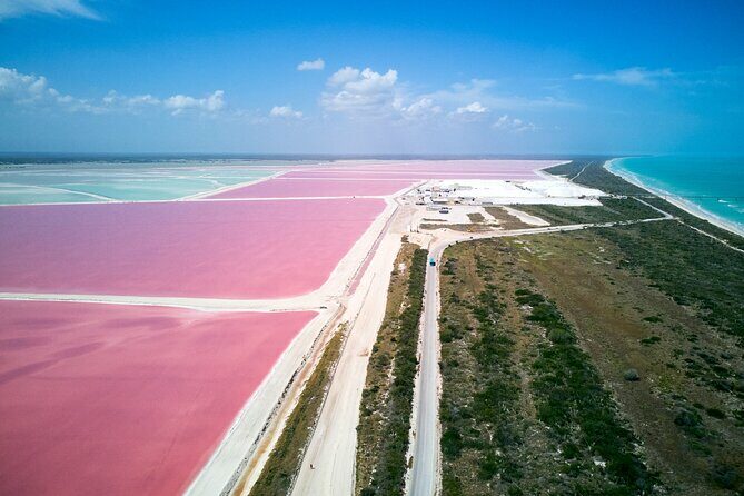 Las Coloradas Pink Lake & Rio Lagartos Guided Tour - Stop 2: Rio Lagartos Boat Tour