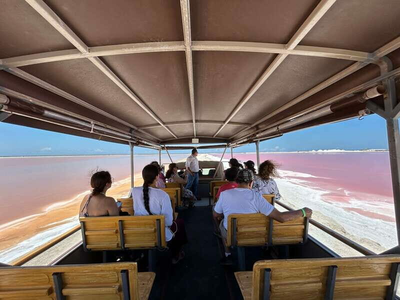 Las Coloradas: Pink Lakes Safari Tour - Practical Tips for the Tour