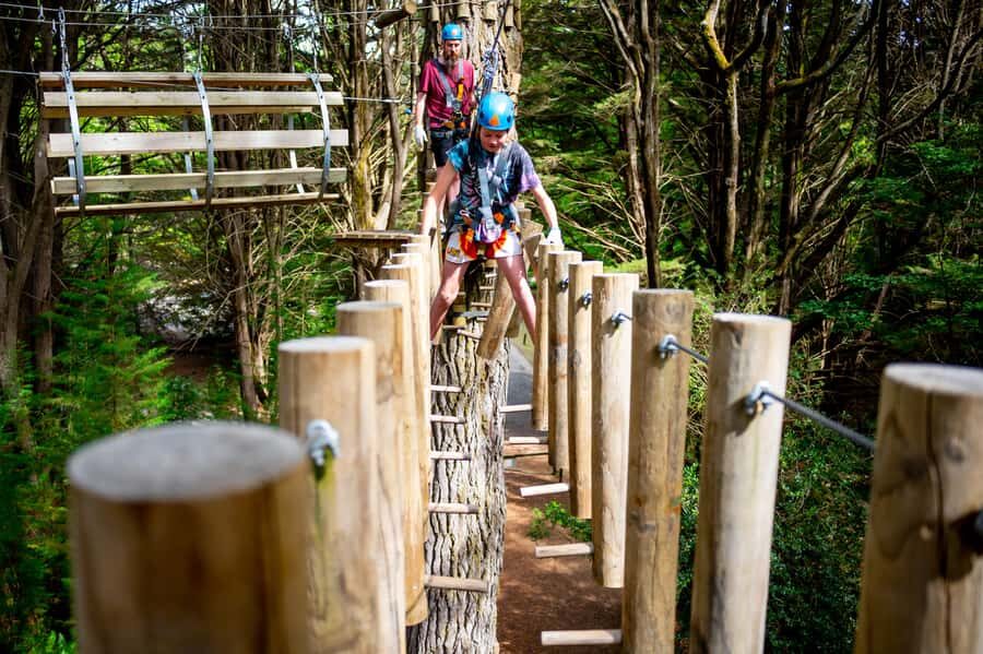 Launceston: Hollybank Tree Ropes Course - Who Will Love Hollybank Tree Ropes Course?