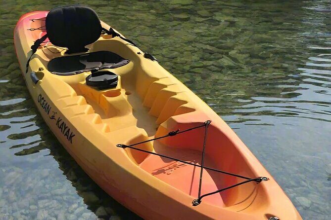 Liberty Bay Wildlife Kayaking - Who Should Consider This Experience?