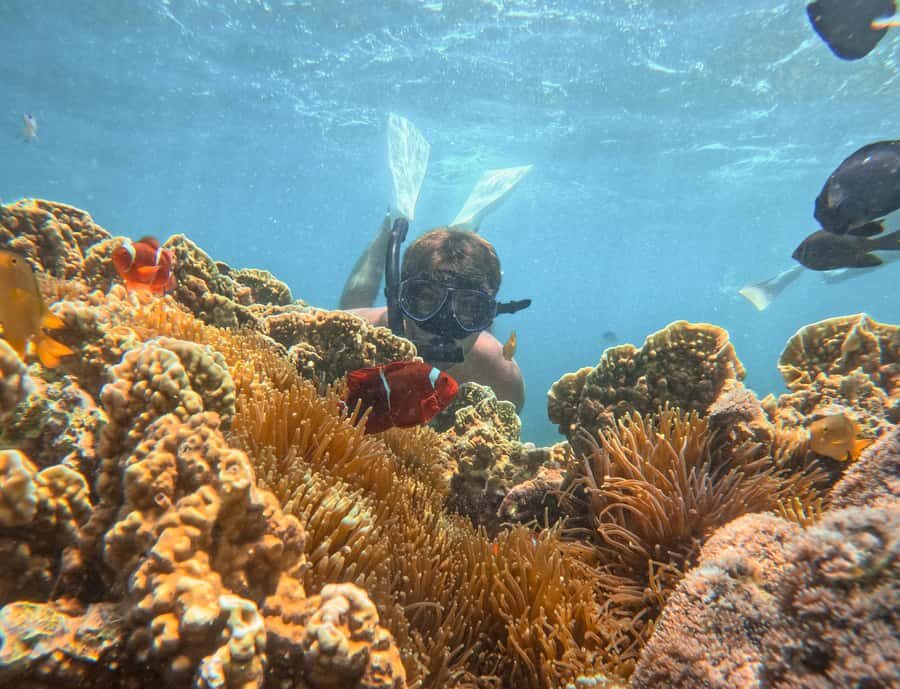 Lombok: Private Pink Beach & Gili Snorkeling Tour with GoPro - What the Reviews Say